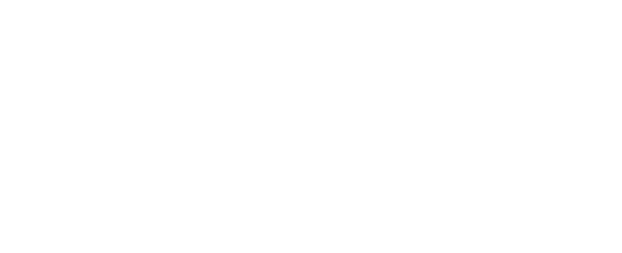 Matic Speedshop Logo